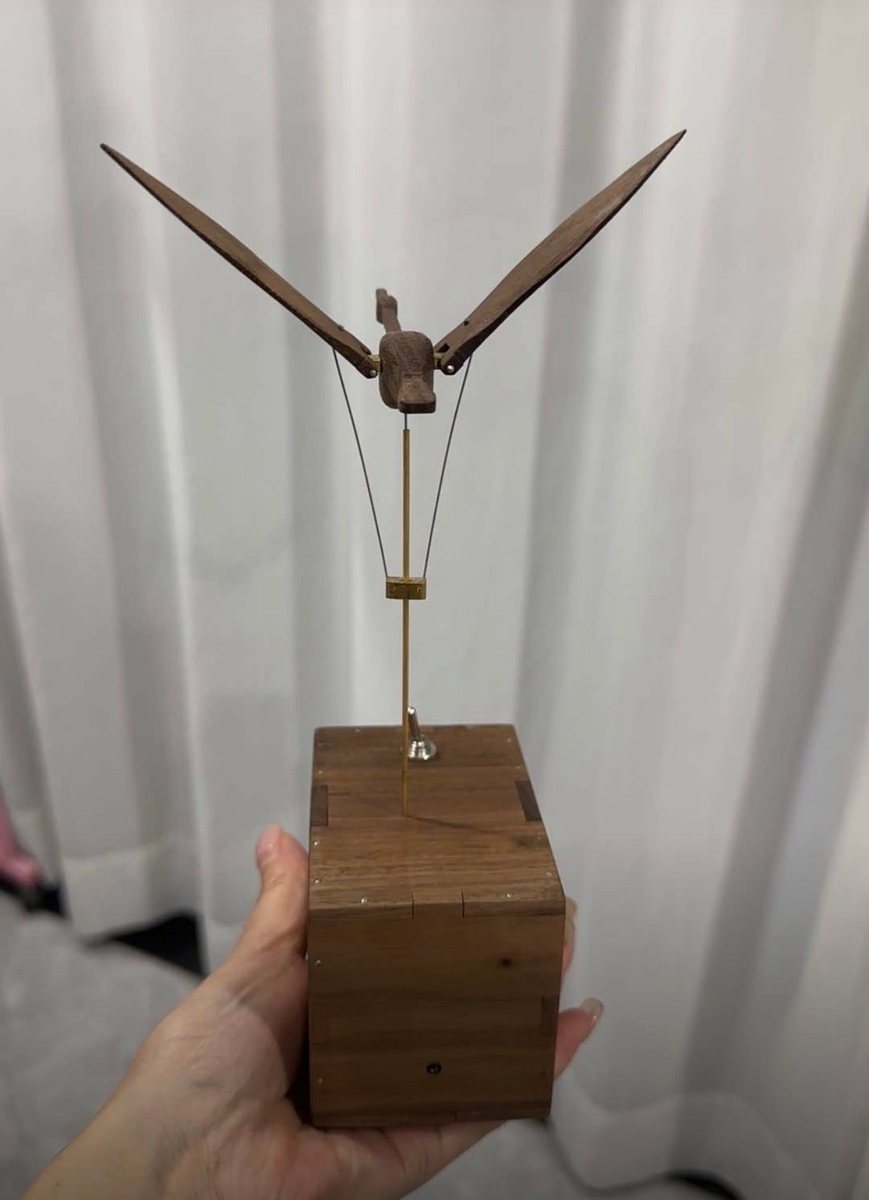 Walnut swan on its small walnut box held in one hand, wings raised high, a white curtain behind.