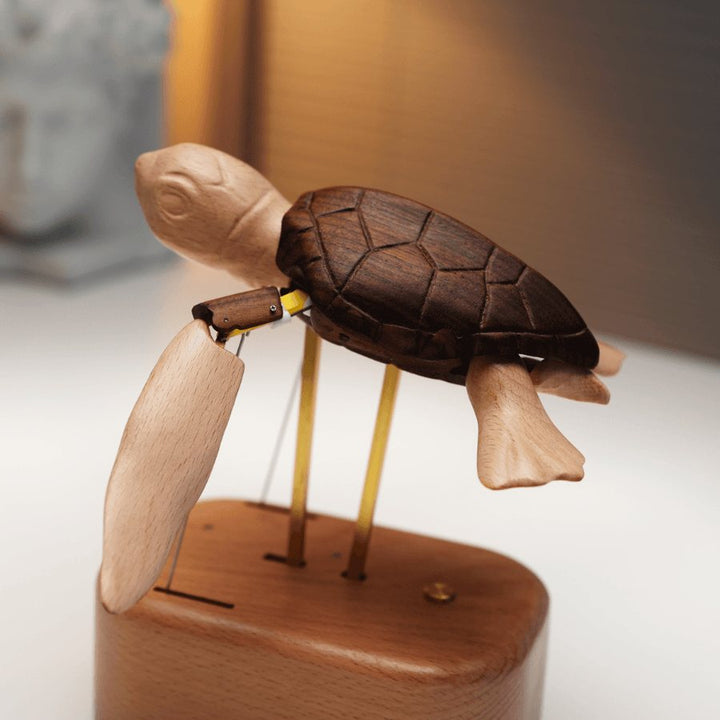 Longshore, sea turtle automaton