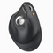 ProtoArc EM11 NL & EM05 NL Ergonomic Mouse – Ergonomic Design, 2400 DPI, Connects to 3 Devices, USB-C Charging, Wireless Bluetooth