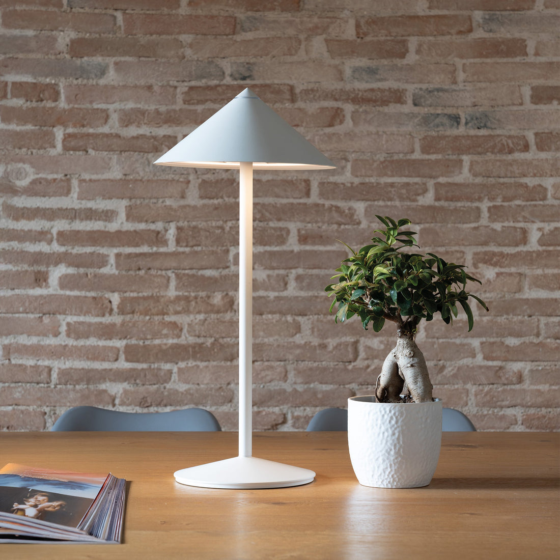 The white Pina L lamp with its cone shade on a wooden desk beside a bonsai plant, brick wall behind
