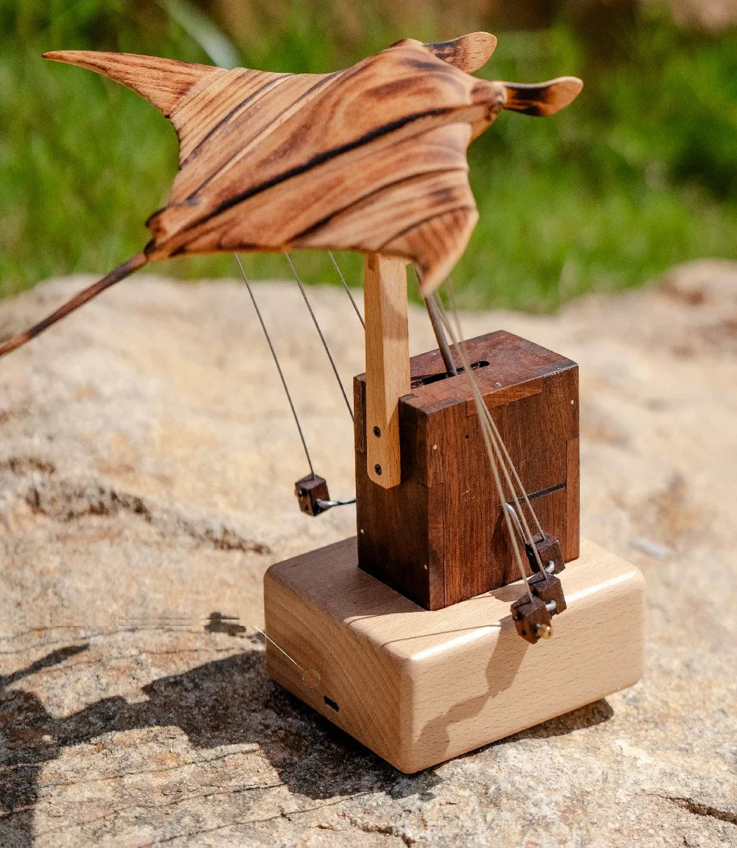 Wooden manta ray with striped grain on a light wood stand with a dark wood box, outdoors on a sunlit rock with grass behind.