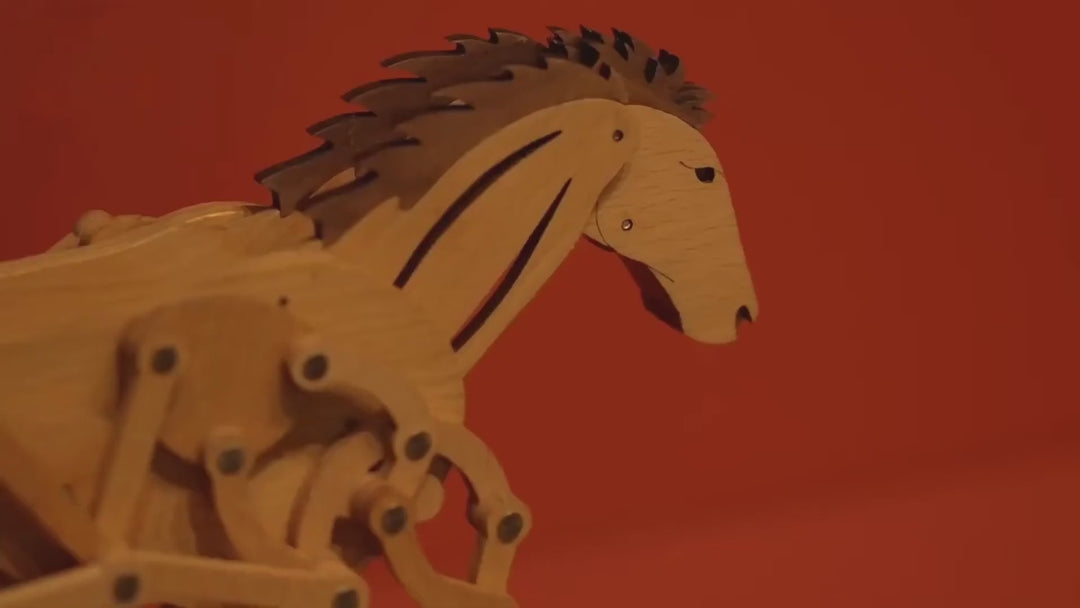 Close view of the horse's head, body links and legs moving together, red wall behind.
