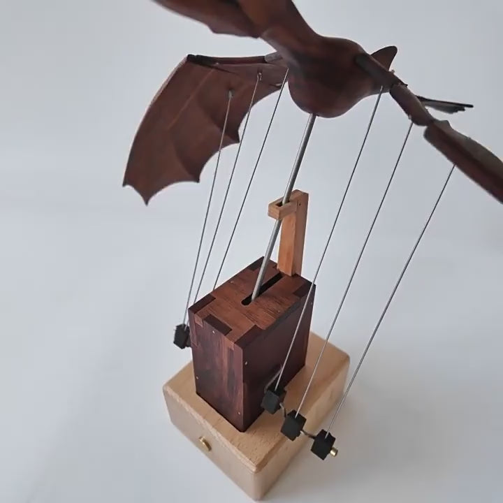 The walnut dragon seen from above and the side as its wings beat slowly on the wires.