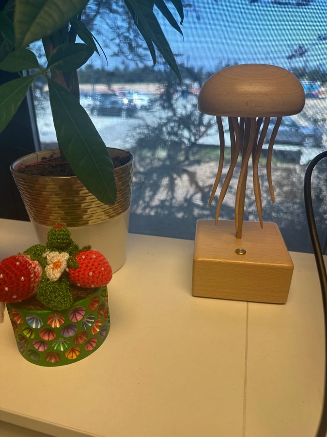 Kera P.: Jellyfish automaton on a table by a window beside a leafy plant and a small strawberry ornament, from an owner photo.