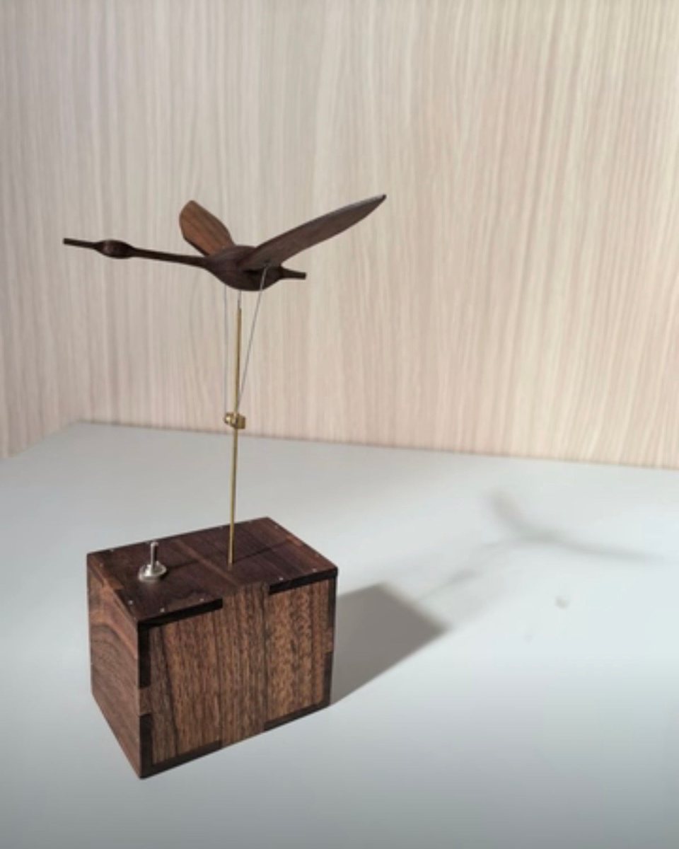 Swan mid-flight above its walnut box, wings out, on a light surface.